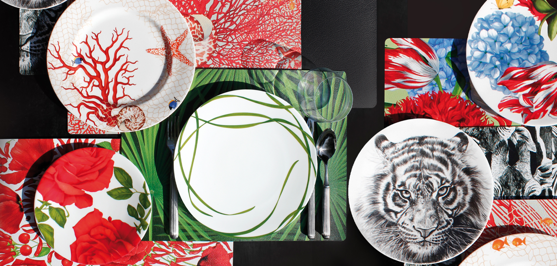 Freestyle Collection