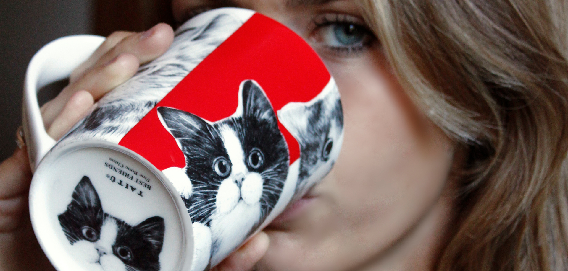 Best Friends Collection