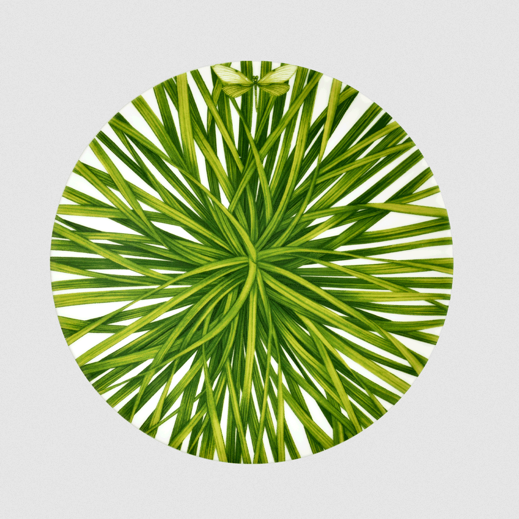 Salad Plate - Life in Green Collection in Fine Bone China