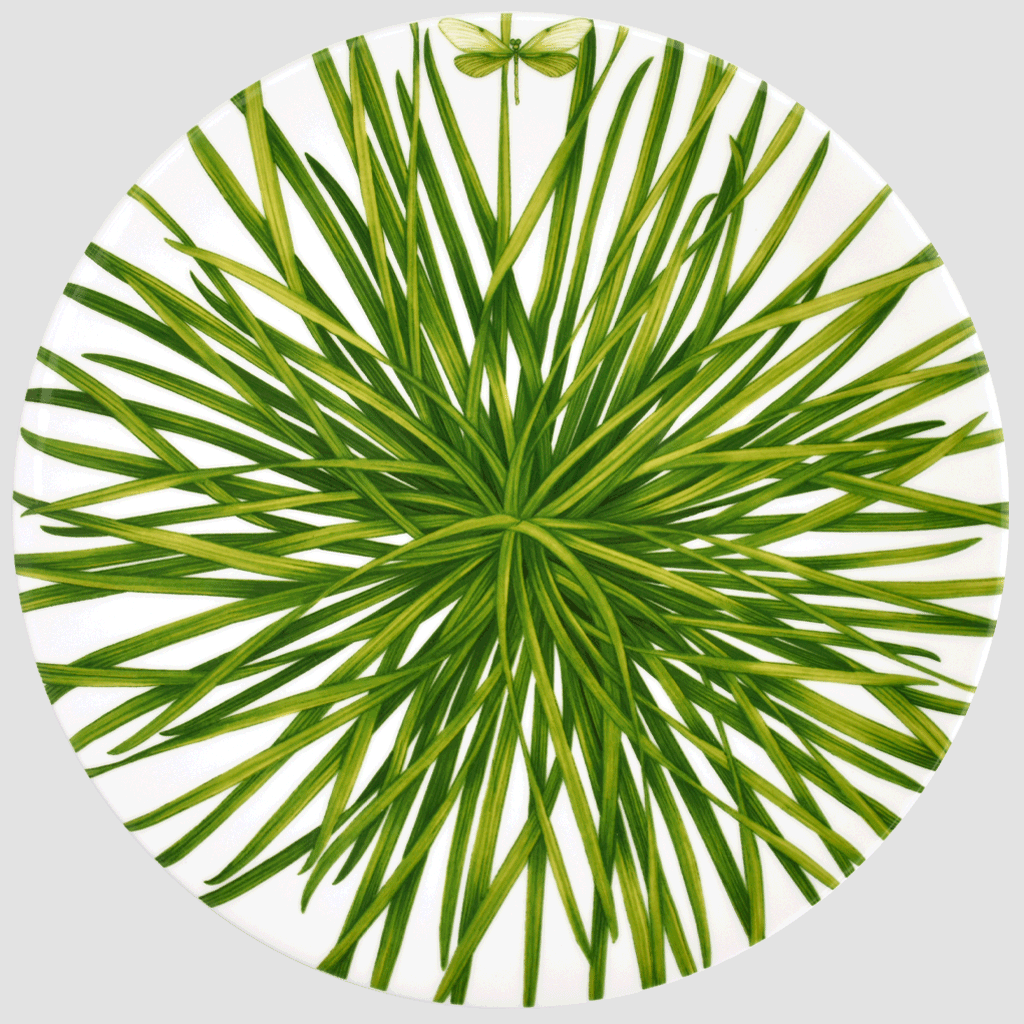 Round Platter - Life in Green Collection in Fine Bone China