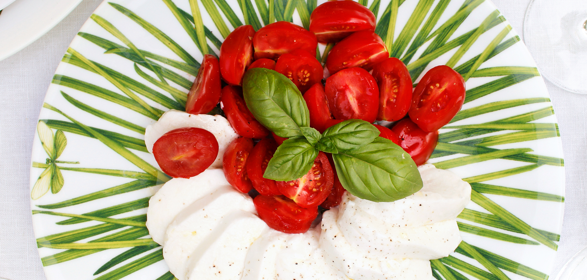 Life in Green Collection - TAITÙ