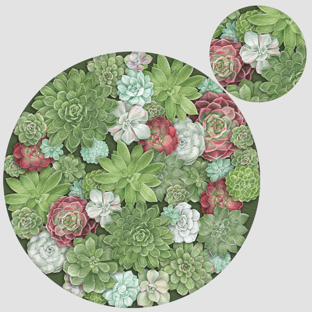 Set Tovaglietta Rotonda & Sottobicchiere FREESTYLE - DESERT ROSE